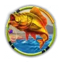 icon 1