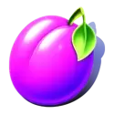 icon 5