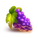 icon 4