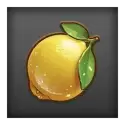 icon 4