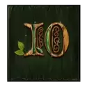 icon 9