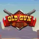 Old Gun