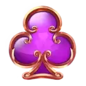 icon 9