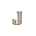 icon 13
