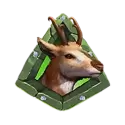 icon 6