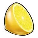 icon 9