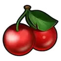 icon 10
