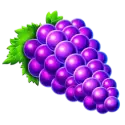 icon 4