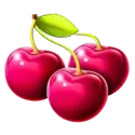 icon 6