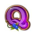 icon 9