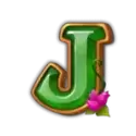 icon 10