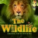 The Wildlife