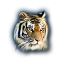 icon 16