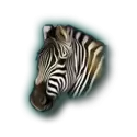 icon 19
