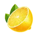 icon 6
