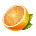 icon 5