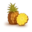 icon 4