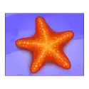 icon 12
