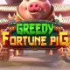 Greedy Fortune Pig