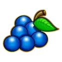 icon 6