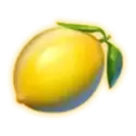 icon 6