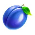 icon 5