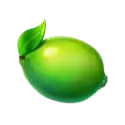 icon 7