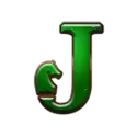 icon 9