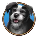 icon 1