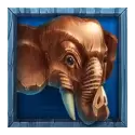 icon 4