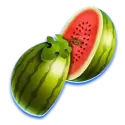 icon 1