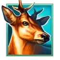 icon 2