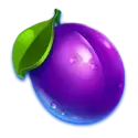 icon 5