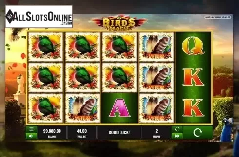 Game workflow . Birds of Magic from Playreels