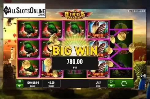 Big win screen. Birds of Magic from Playreels