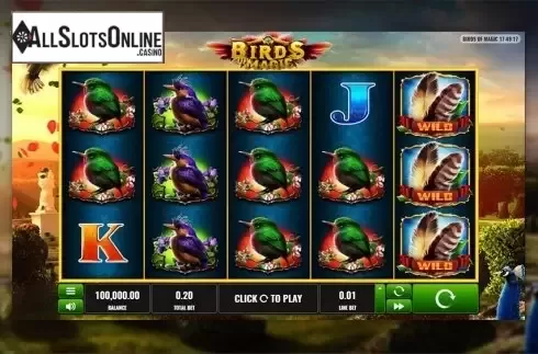 Reels screen. Birds of Magic from Playreels