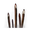 icon 13
