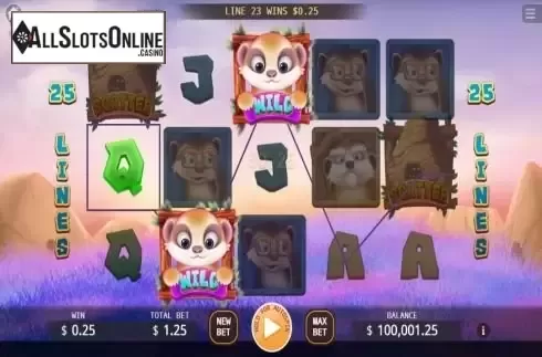 Win 3