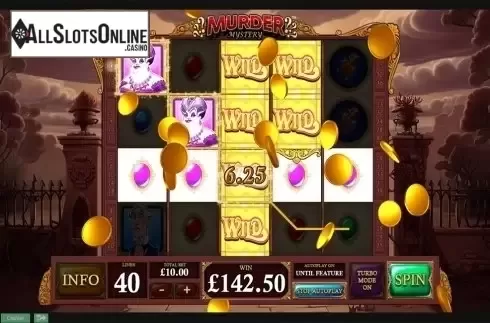 Big win screen. Murder Mystery from Playtech