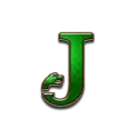 icon 10