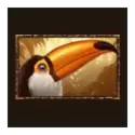 icon 6