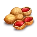 icon 5