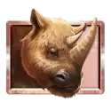 icon 2