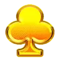 icon 9