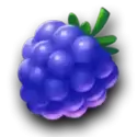 icon 4