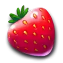 icon 1