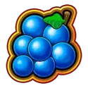 icon 5