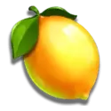 icon 7