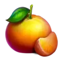 icon 6