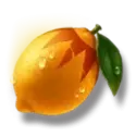 icon 7